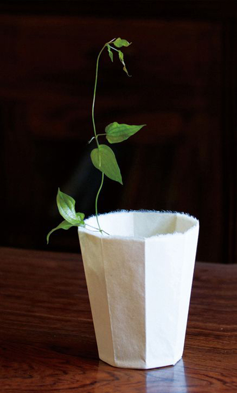 ツル系の植物とも相性のよい和紙の器「Kamiwan」