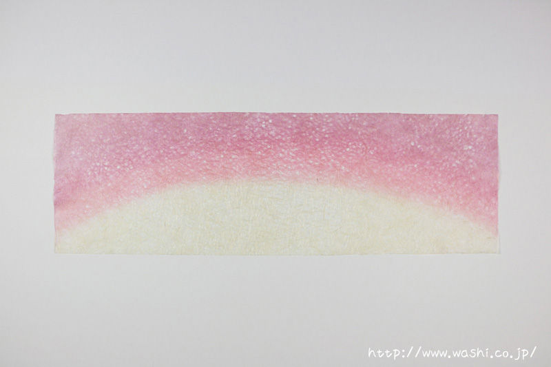 淡いピンク色の染め和紙／インテリア用（2）