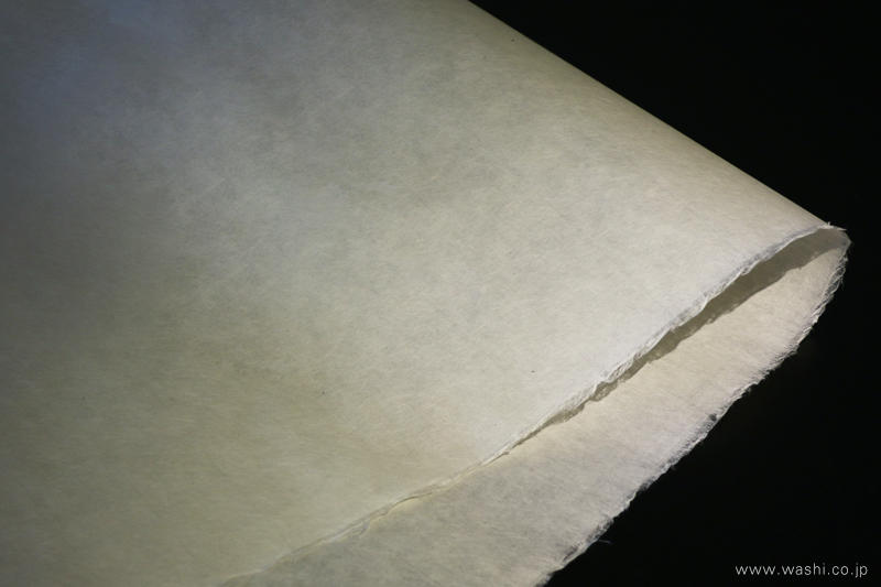 黒い背景の上で、優雅な曲線を描く楮和紙。その滑らかさと上品な光沢がわかる一枚。
