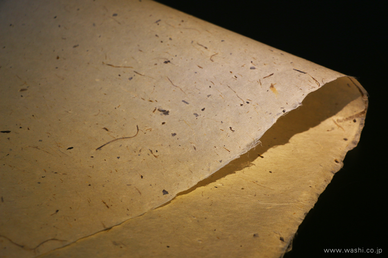 黒い背景の上で、緩やかにカーブするチリ入りの楮紙。樹皮の破片が漉き込まれた、素朴な表情が特徴。