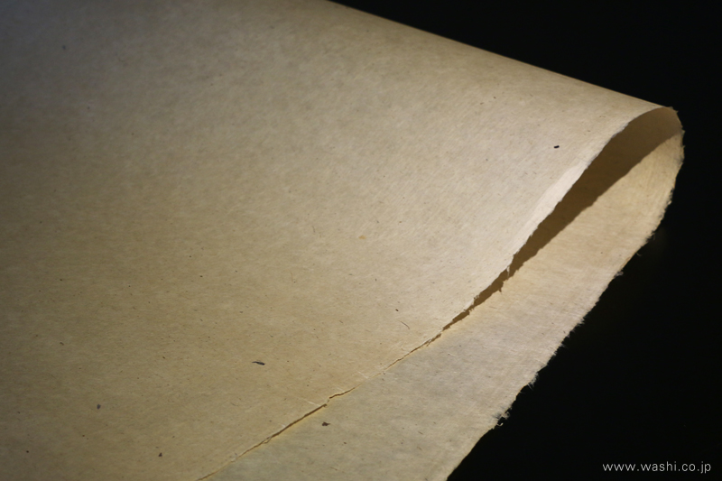 黒い背景の上で、滑らかな曲線を描く三椏和紙。光を柔らかく反射し、上品な艶を見せている。