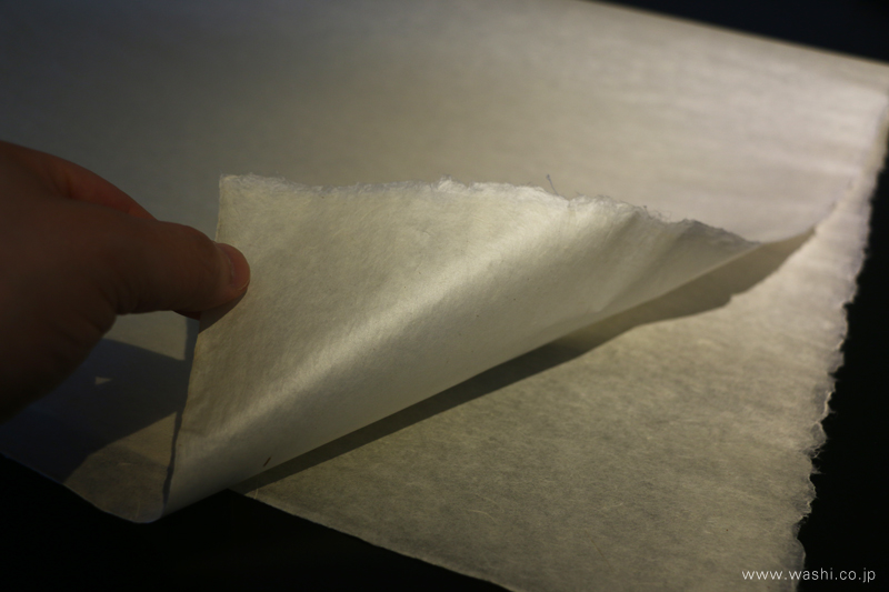 雁皮紙の角を優しく手でつまんでいる様子。紙の表面には光が帯状に伸び、その極めて平滑な紙肌と上品な光沢感が伝わる一枚。