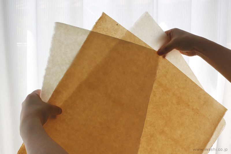 左から楮、三椏、雁皮の和紙を、白いカーテン越しの光に透かしている様子。それぞれの繊維の動きや透過度の違いがわかる。