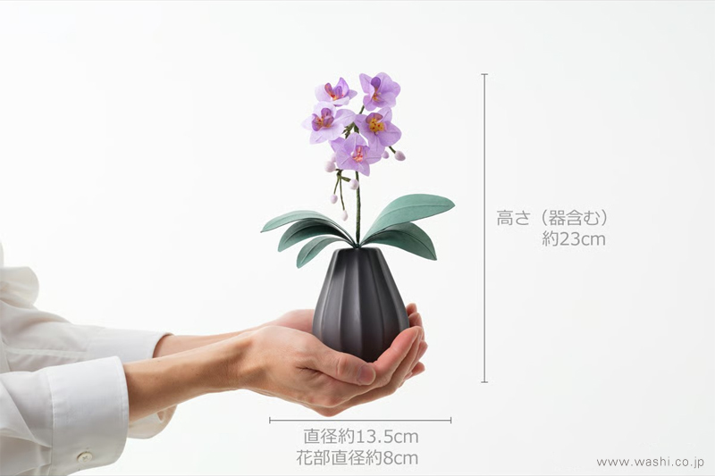 和紙のミニ胡蝶蘭を両手で持ったサイズ比較画像。高さ約23cm、花部直径約8cmのコンパクトなお供え花