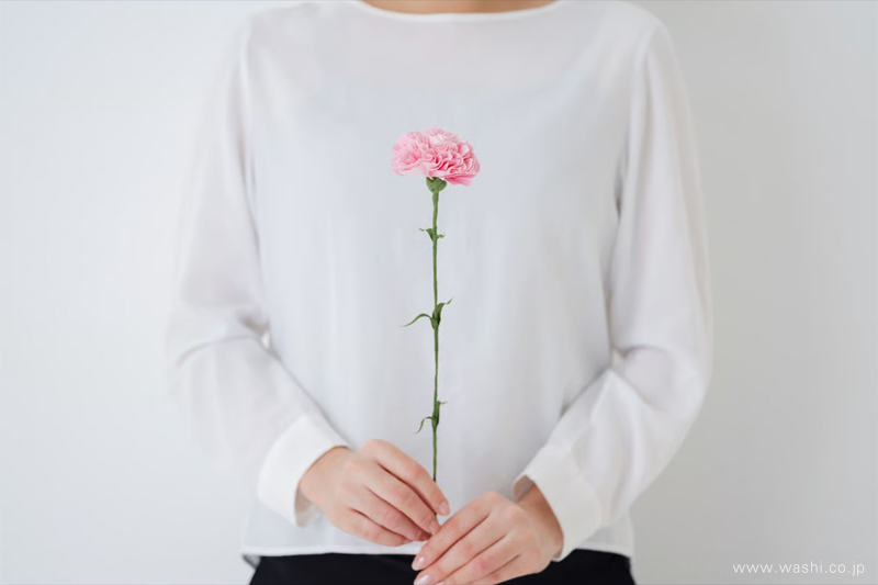 和紙製の一輪カーネーション（ピンク）を両手で丁寧に持つ女性の様子。大切な方への贈り物としておすすめ。